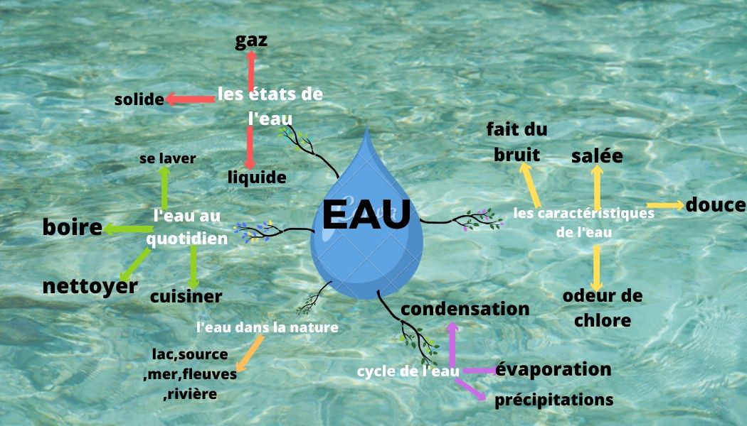 Tutorat Epices : Les Défis du Goût